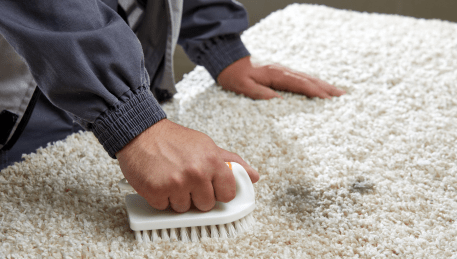 Professional Rug Cleaning Lyndhurst