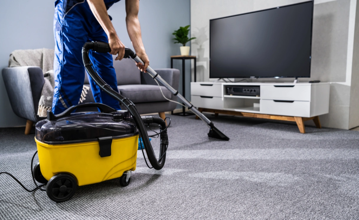Extract Rug Cleaning Lyndhurst Contact Office
